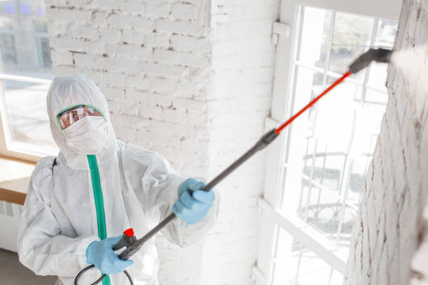 Best Real Estate Mold Inspection  in , OK