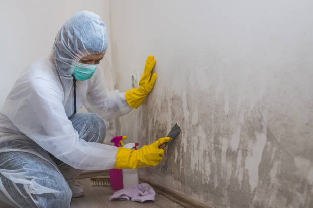  , OK Mold Removal Pros