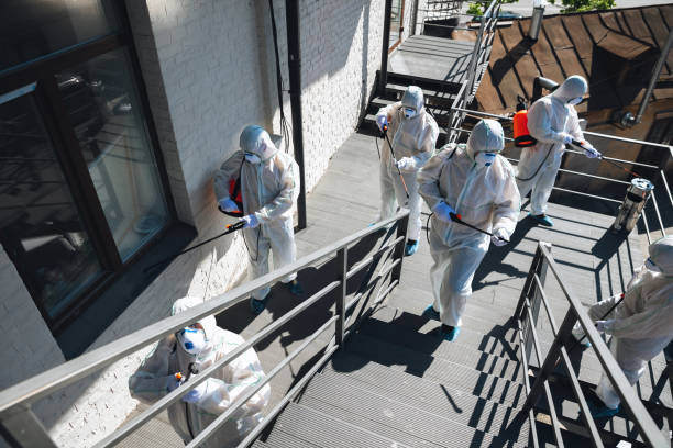 Best Mold Removal for HVAC Installations  in , OK