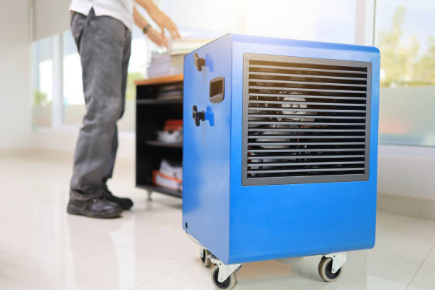 Best Black Mold Removal  in , OK