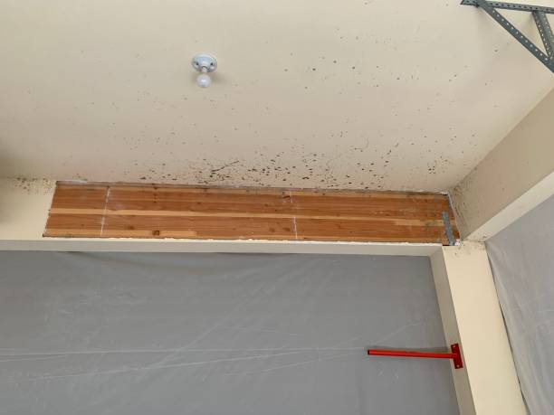 Best Indoor Air Quality Assessment  in , OK