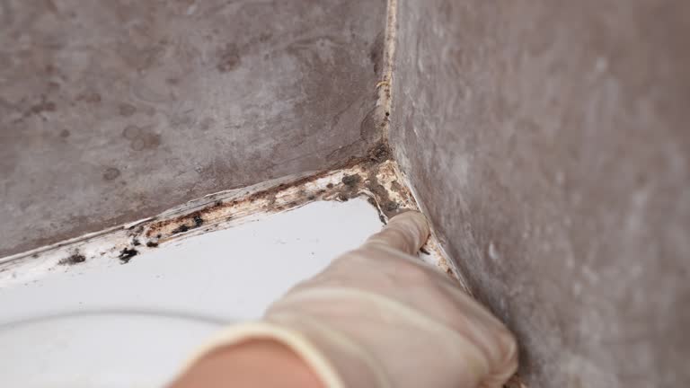 Best Airborne Mold Testing  in , OK